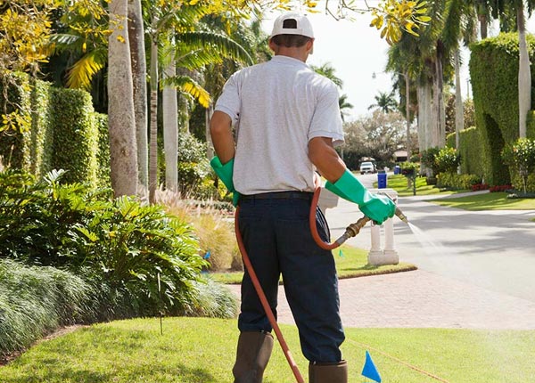 About Waukegan IL Pest Control